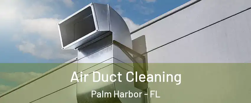  Air Duct Cleaning Palm Harbor - FL