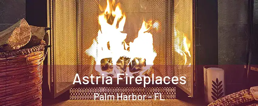  Astria Fireplaces Palm Harbor - FL
