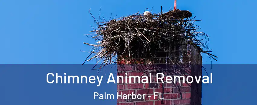 Chimney Animal Removal Palm Harbor - FL