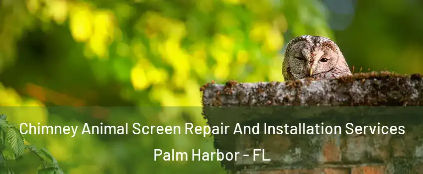  Chimney Animal Screen Repair And Installation Services Palm Harbor - FL