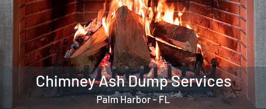  Chimney Ash Dump Services Palm Harbor - FL