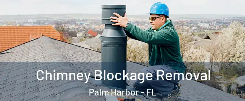  Chimney Blockage Removal Palm Harbor - FL