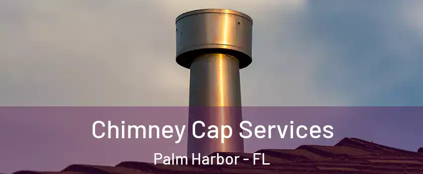  Chimney Cap Services Palm Harbor - FL
