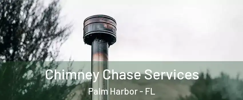  Chimney Chase Services Palm Harbor - FL