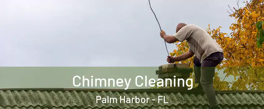  Chimney Cleaning Palm Harbor - FL