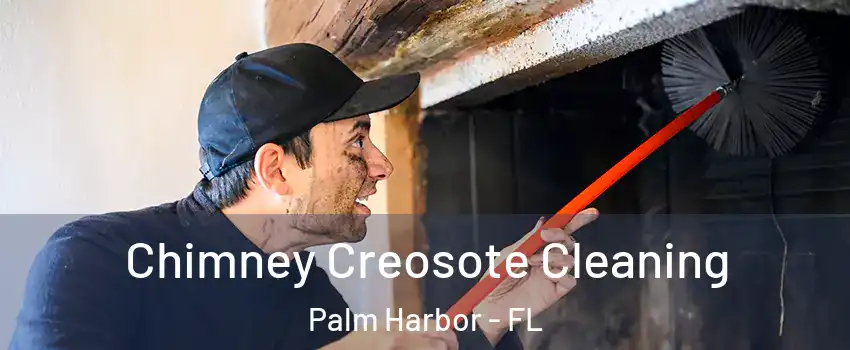  Chimney Creosote Cleaning Palm Harbor - FL