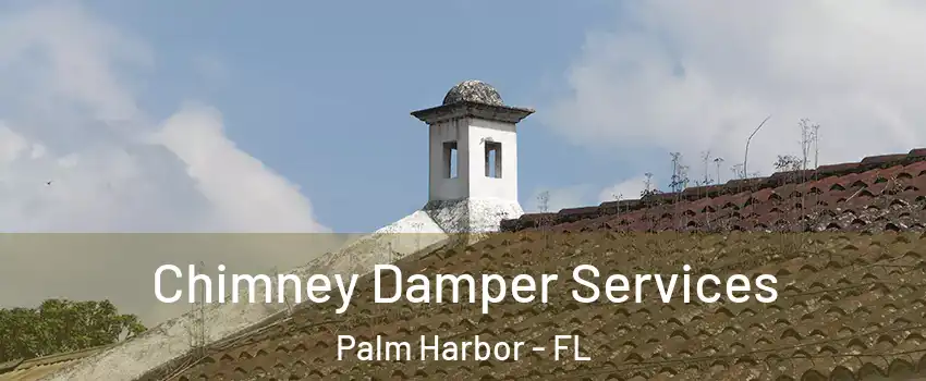  Chimney Damper Services Palm Harbor - FL