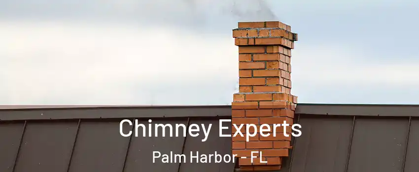 Chimney Experts Palm Harbor - FL