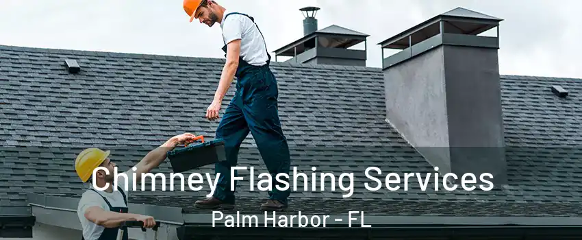 Chimney Flashing Services Palm Harbor - FL