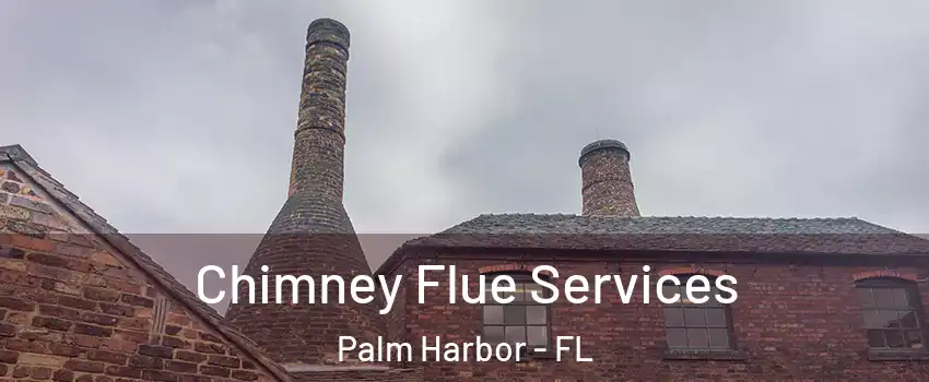  Chimney Flue Services Palm Harbor - FL