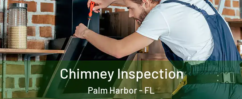 Chimney Inspection Palm Harbor - FL