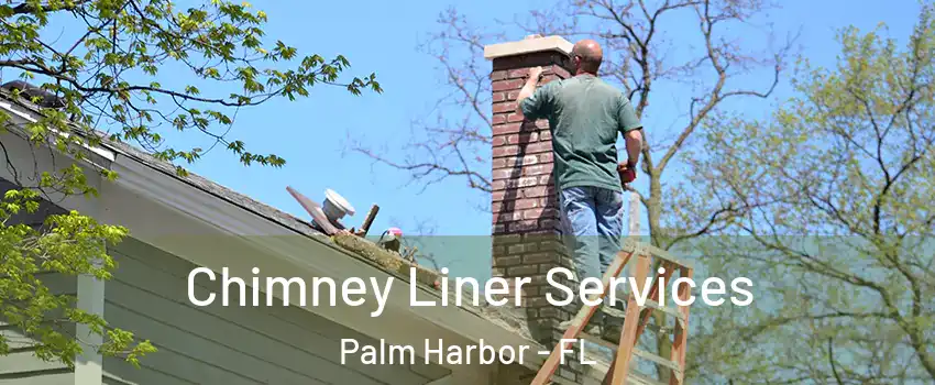  Chimney Liner Services Palm Harbor - FL