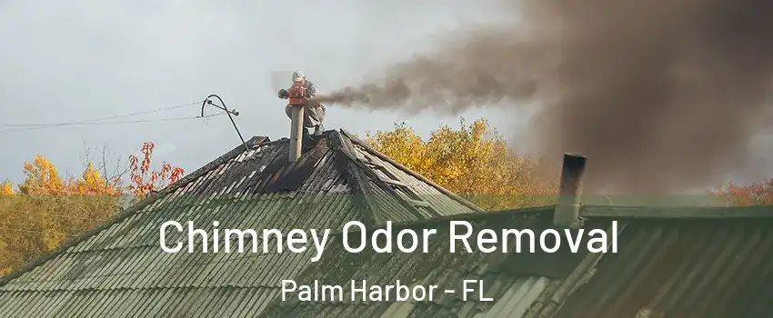  Chimney Odor Removal Palm Harbor - FL