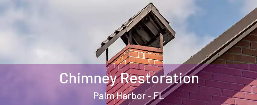  Chimney Restoration Palm Harbor - FL