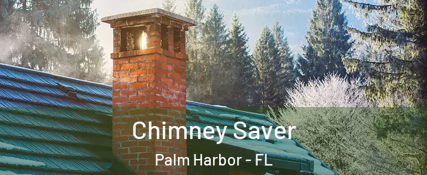  Chimney Saver Palm Harbor - FL