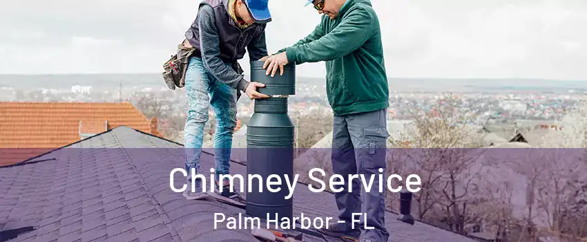  Chimney Service Palm Harbor - FL
