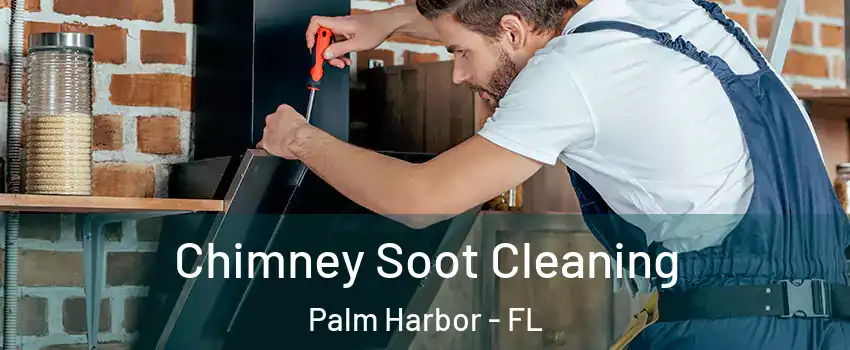 Chimney Soot Cleaning Palm Harbor - FL
