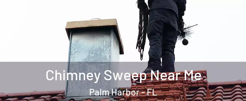  Chimney Sweep Near Me Palm Harbor - FL