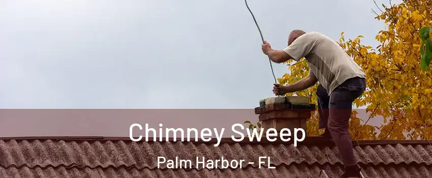  Chimney Sweep Palm Harbor - FL