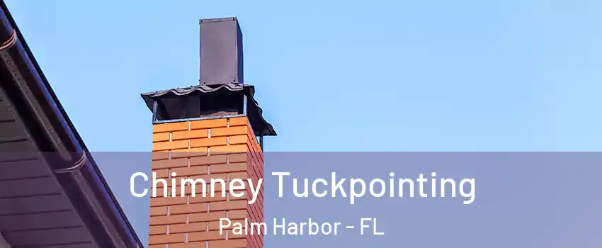  Chimney Tuckpointing Palm Harbor - FL