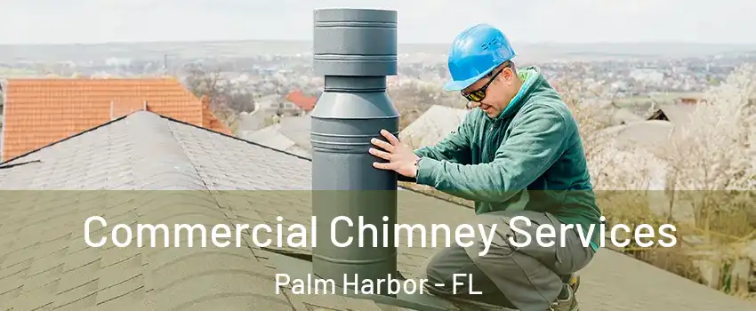  Commercial Chimney Services Palm Harbor - FL