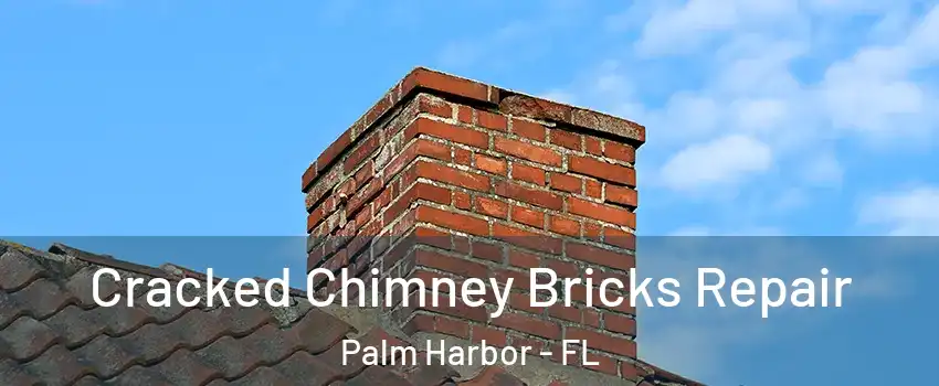 Cracked Chimney Bricks Repair Palm Harbor - FL