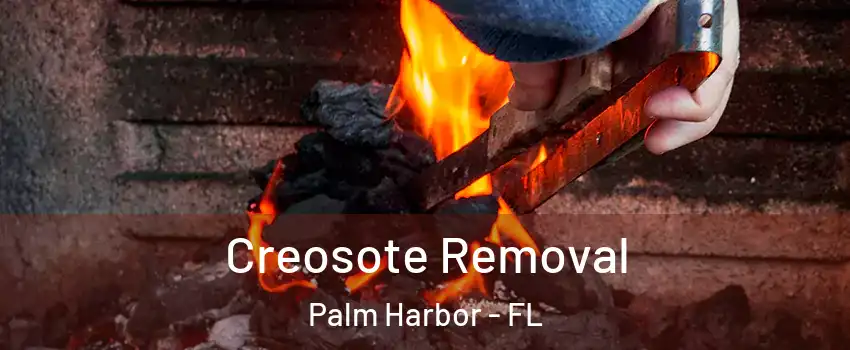  Creosote Removal Palm Harbor - FL