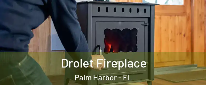  Drolet Fireplace Palm Harbor - FL