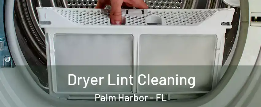  Dryer Lint Cleaning Palm Harbor - FL