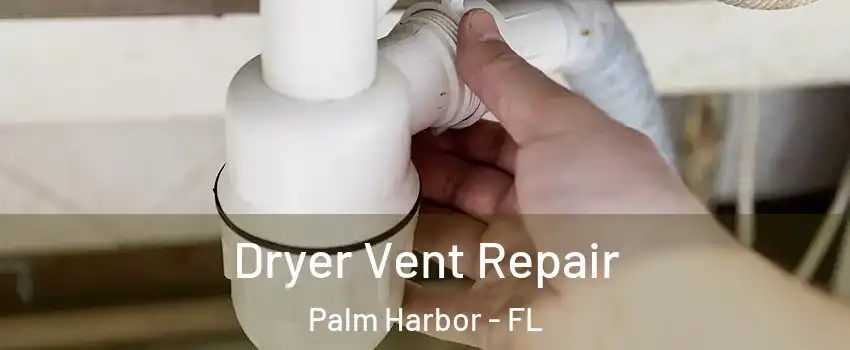  Dryer Vent Repair Palm Harbor - FL