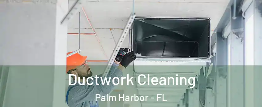  Ductwork Cleaning Palm Harbor - FL
