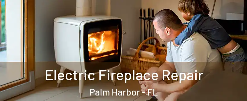  Electric Fireplace Repair Palm Harbor - FL
