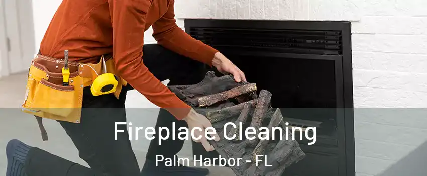  Fireplace Cleaning Palm Harbor - FL