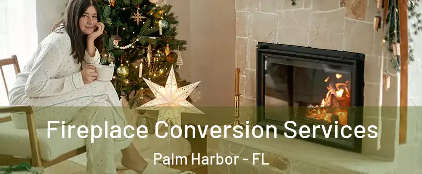  Fireplace Conversion Services Palm Harbor - FL