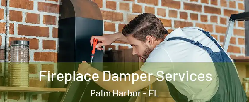  Fireplace Damper Services Palm Harbor - FL