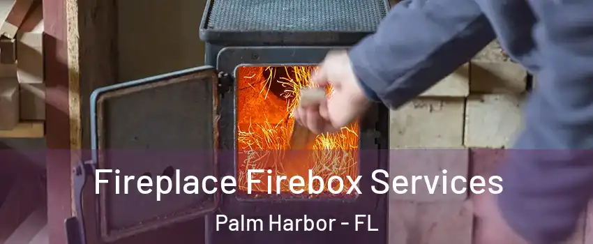  Fireplace Firebox Services Palm Harbor - FL