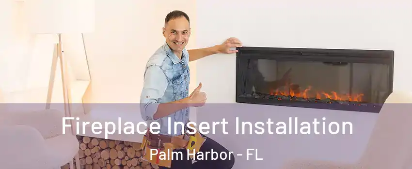  Fireplace Insert Installation Palm Harbor - FL