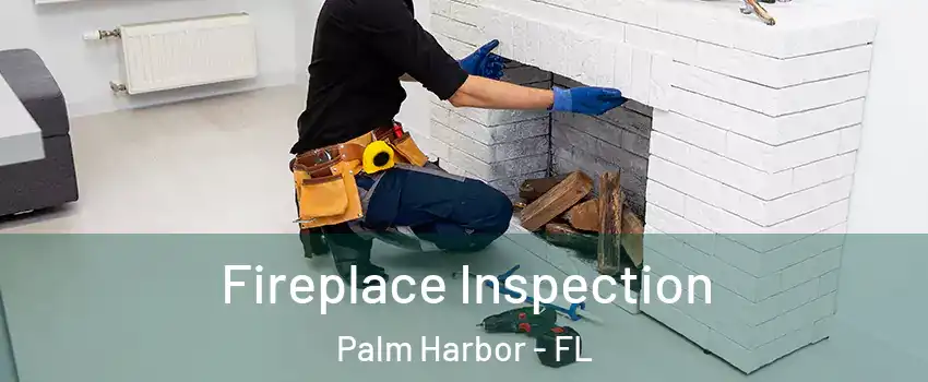  Fireplace Inspection Palm Harbor - FL