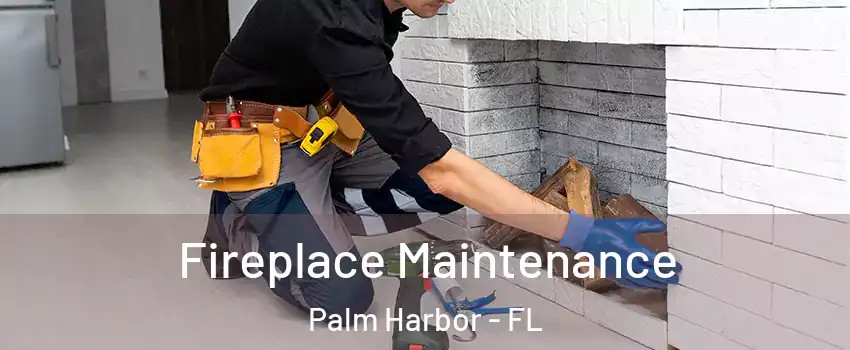  Fireplace Maintenance Palm Harbor - FL