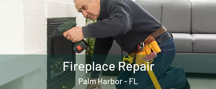 Fireplace Repair Palm Harbor - FL