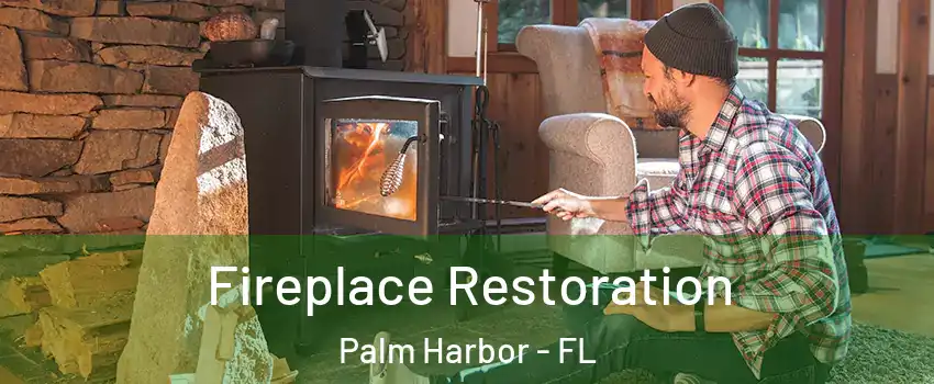  Fireplace Restoration Palm Harbor - FL