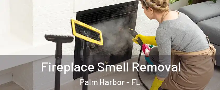  Fireplace Smell Removal Palm Harbor - FL