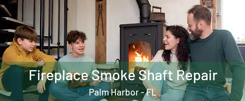  Fireplace Smoke Shaft Repair Palm Harbor - FL