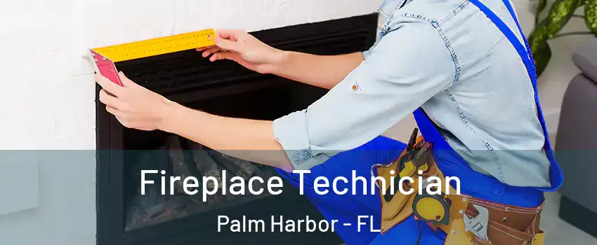Fireplace Technician Palm Harbor - FL