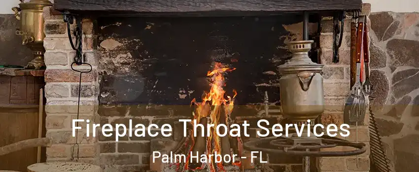 Fireplace Throat Services Palm Harbor - FL