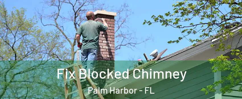  Fix Blocked Chimney Palm Harbor - FL