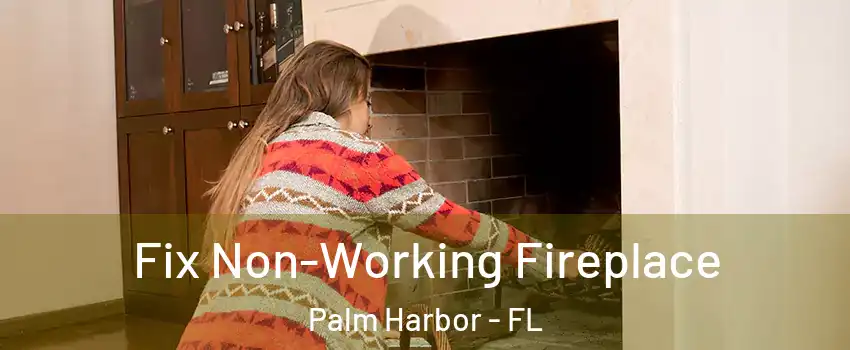  Fix Non-Working Fireplace Palm Harbor - FL