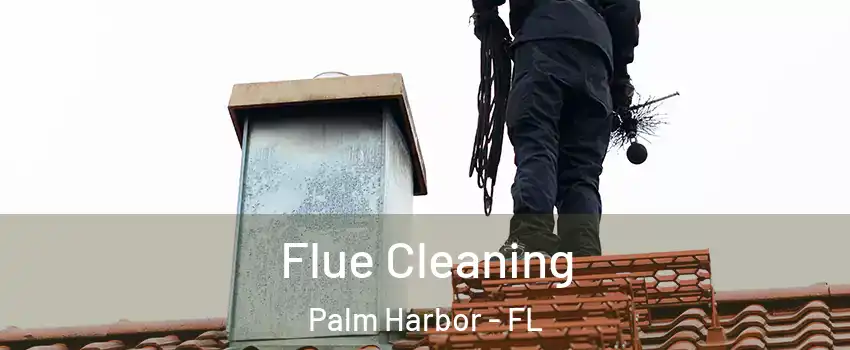  Flue Cleaning Palm Harbor - FL