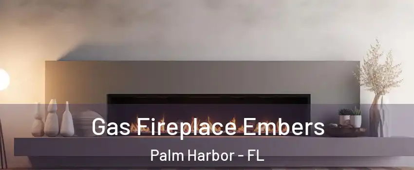 Gas Fireplace Embers Palm Harbor - FL