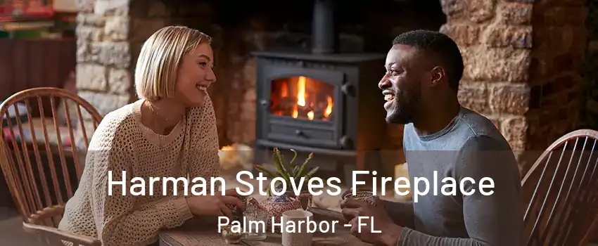  Harman Stoves Fireplace Palm Harbor - FL